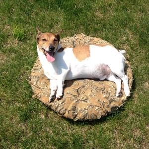 Meet your Posher, Anson